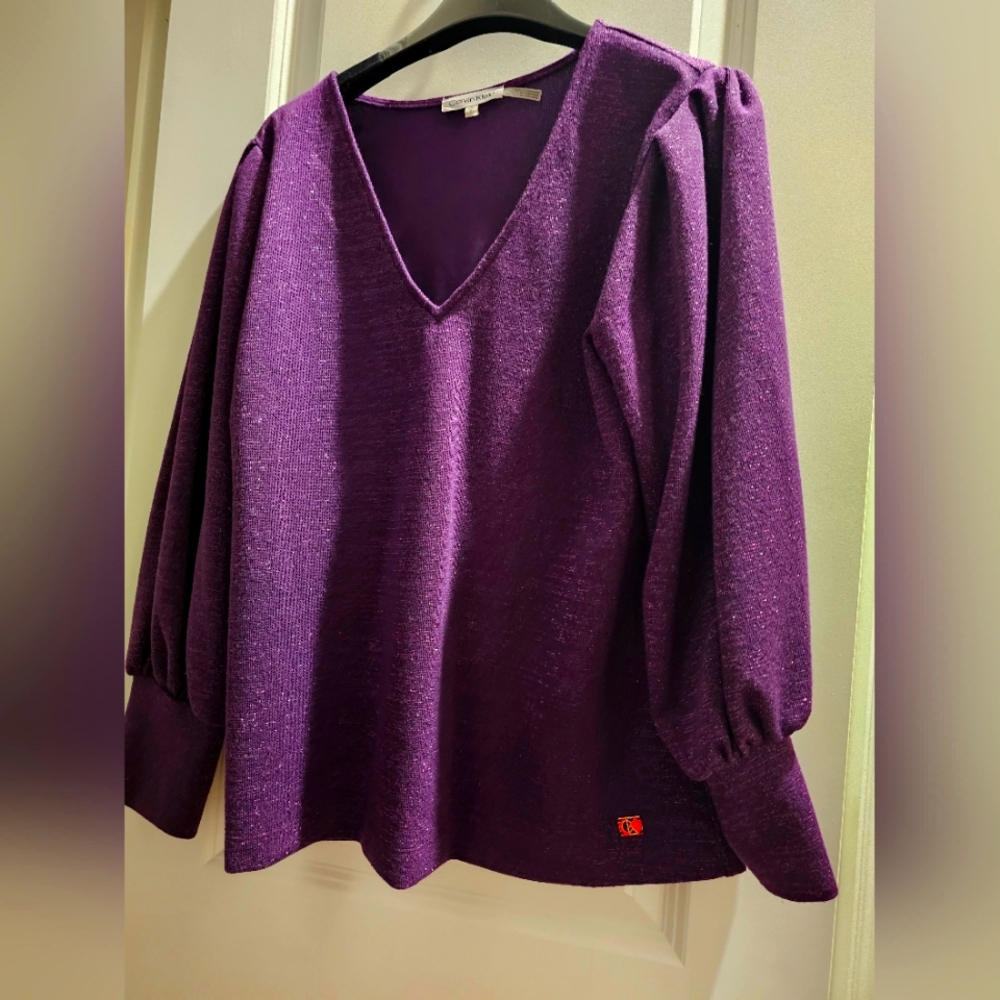 Shimmering Purple Blouse